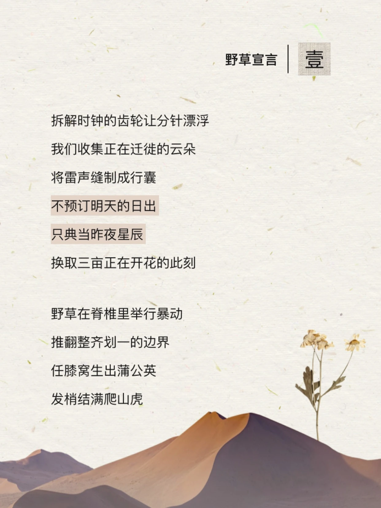 糯排版爆款公众号模版预览二