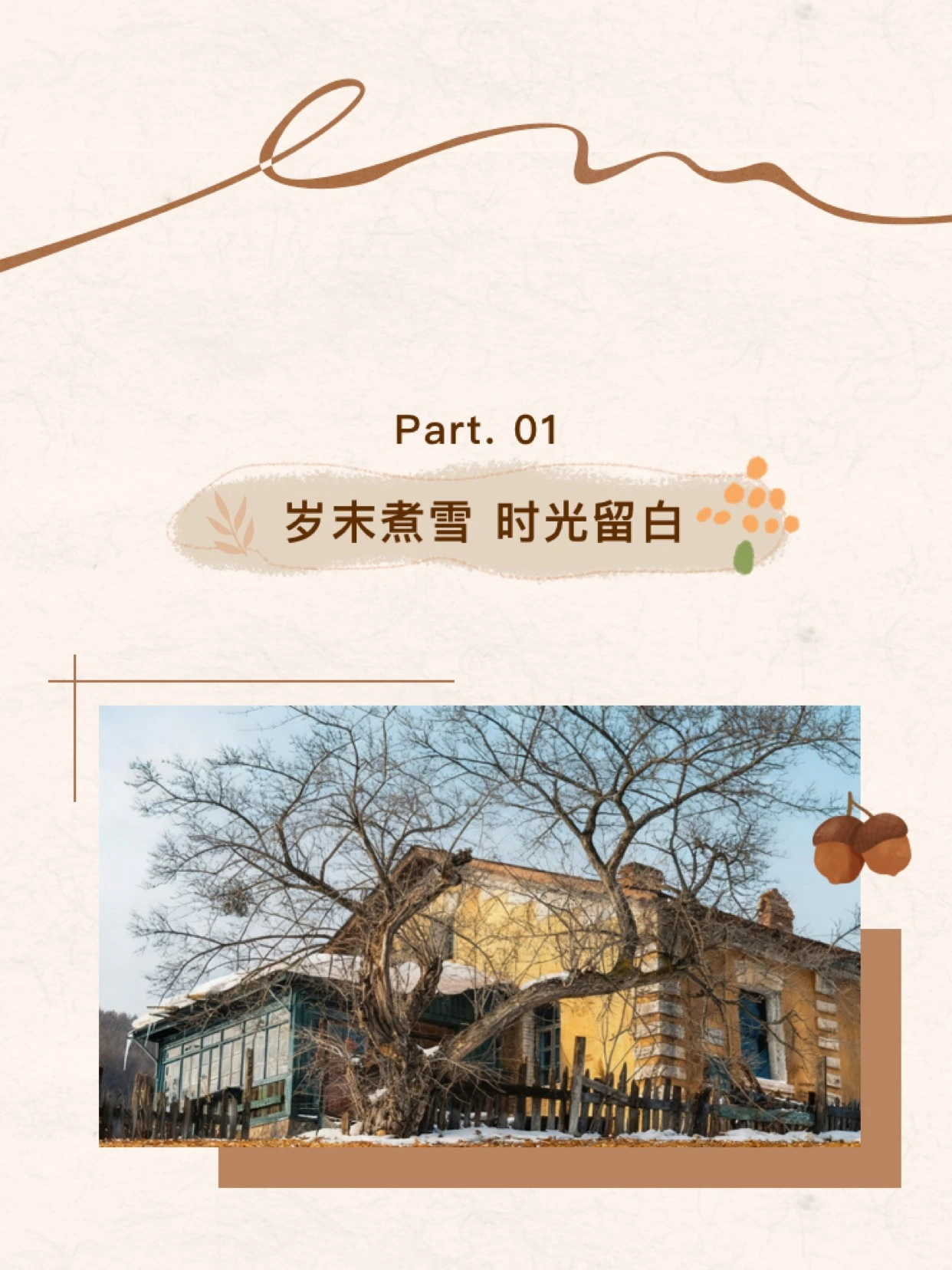 糯排版爆款公众号模版预览三