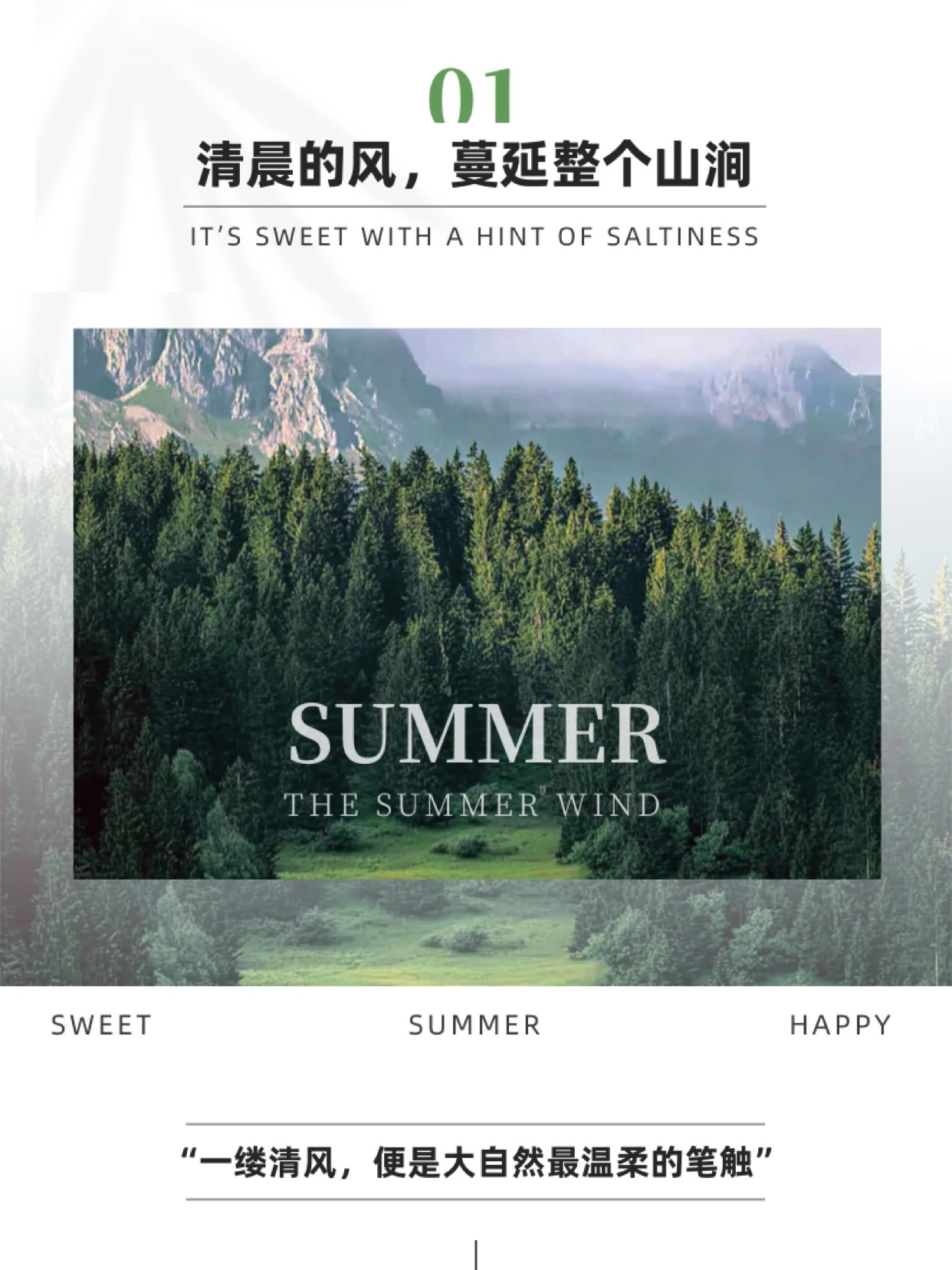 糯排版爆款公众号模版预览四